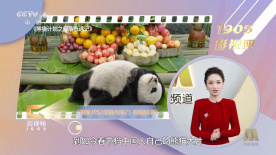 国产做受69高潮